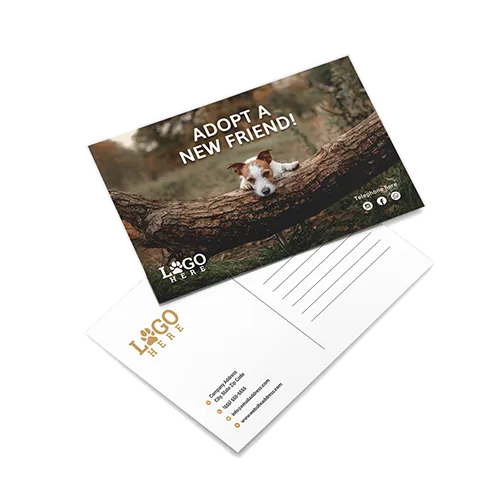 Direct Mail Postcards printed by the North San Antonio shop