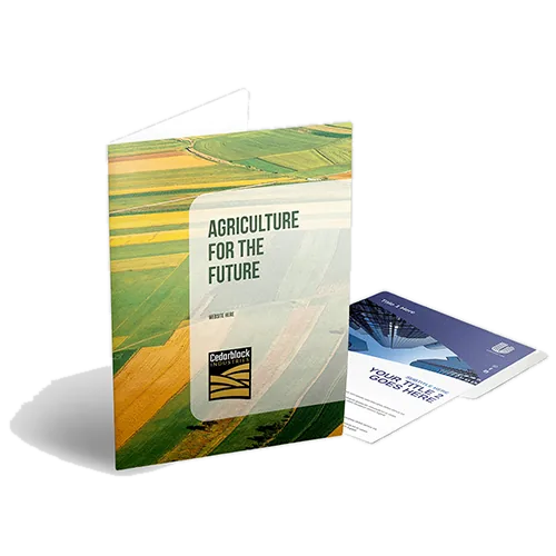 Presentation Folders printed by the North San Antonio shop